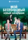 Мой бестолковый новый начальник